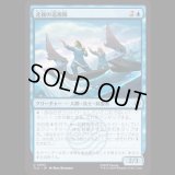 北極の巡視隊/North Pole Patrol [TLA]