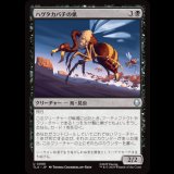 ハゲタカバチの巣/Buzzard-Wasp Colony [TLA]