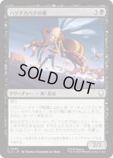 ハゲタカバチの巣/Buzzard-Wasp Colony [TLA]