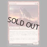 トラマジロ/Tiger-Dillo [TLA]