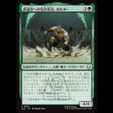 武道会への気合充分、ボルダー/The Boulder, Ready to Rumble [TLA]