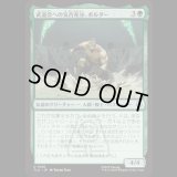 武道会への気合充分、ボルダー/The Boulder, Ready to Rumble [TLA]