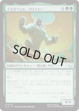 ブミのペット、フロプシー/Flopsie, Bumi's Buddy [TLA]