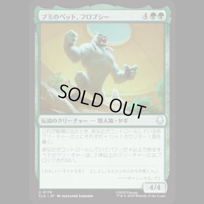 画像1: ブミのペット、フロプシー/Flopsie, Bumi's Buddy [TLA]