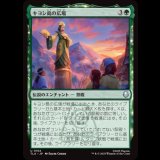 キヨシ島の広場/Kyoshi Island Plaza [TLA]