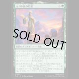 キヨシ島の広場/Kyoshi Island Plaza [TLA]