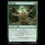 岩雪崩/Rockalanche [TLA]