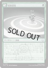 震動感覚/Seismic Sense [TLA]