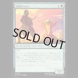 演習のカカシ/Sparring Dummy [TLA]