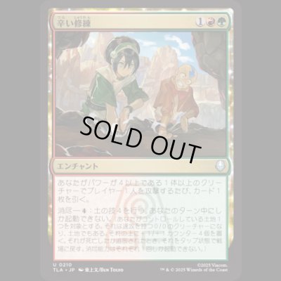 画像1: 辛い修練/Bitter Work [TLA]