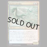 リュウトンボの群れ/Dragonfly Swarm [TLA]