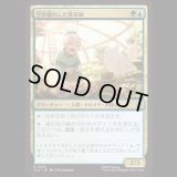 浮世離れした薬草師/Hermitic Herbalist [TLA]