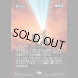 [ソース・マテリアル] 否定の力/Force of Negation [TLE]