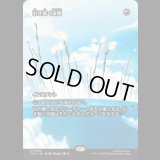 [ソース・マテリアル] 引き裂く流弾/Rending Volley [TLE]