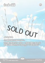 [ソース・マテリアル] 引き裂く流弾/Rending Volley [TLE]