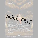 [ソース・マテリアル] 獣使いの昇天/Beastmaster Ascension [TLE]