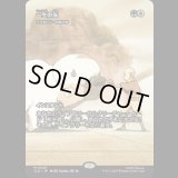 [ソース・マテリアル] 一生の友/Lifelong Friendship (エラダムリーの呼び声/Eladamri's Call) [TLE]