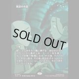 [ソース・マテリアル] 寓話の小道/Fabled Passage [TLE]