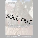 [ソース・マテリアル] 色あせた城塞/Tarnished Citadel [TLE]