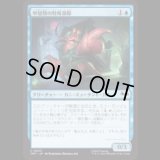 甲殻類の特殊部隊/Crustacean Commando [TMT]