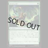 カワバンガ！/Cowabunga! [TMT]