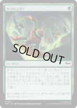 カワバンガ！/Cowabunga! [TMT]