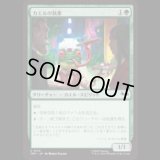 カエルの執事/Frog Butler [TMT]