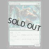 太古の巨大生物/Primordial Pachyderm [TMT]