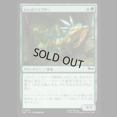 画像1: わんぱくラプター/Ragamuffin Raptor [TMT]