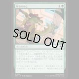 叩きのめし/Tenderize [TMT]