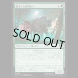 脱走した動物たち/Zoo Escapees [TMT]