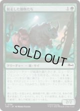 脱走した動物たち/Zoo Escapees [TMT]