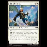 空高く舞うエース/High-Flying Ace [TMT]