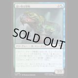 這い寄る怪物/Slithering Cryptid [TMT]