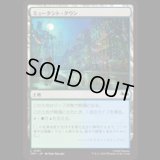 ミュータント・タウン/Mutant Town [TMT]