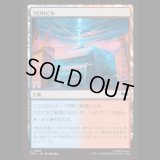 TCRIビル/TCRI Building [TMT]