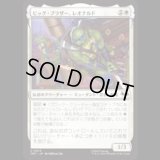 ビッグ・ブラザー、レオナルド/Leonardo, Big Brother [TMT]