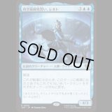 時空術師見習い、レネト/Renet, Temporal Apprentice [TMT]