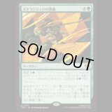 ミケランジェロの奥義/Michelangelo's Technique [TMT]