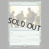 タートル・パワー！/Turtle Power! [TMT]