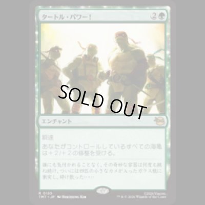 画像1: タートル・パワー！/Turtle Power! [TMT]