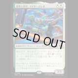 混沌と秩序、マイキーとレオ/Mikey & Leo, Chaos & Order [TMT]