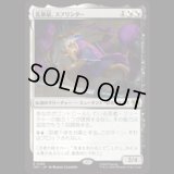 乱暴鼠、スプリンター/Splinter, Radical Rat [TMT]