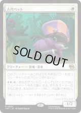 古代ペット/Prehistoric Pet [TMT]