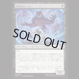 悪夢のビーバー/Dream Beavers [TMT]