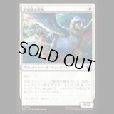 羽根頭の泥棒/Featherbrained Filcher [TMT]