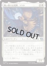 舞い降りる死神、コウヤ/Koya, Death from Above [TMT]