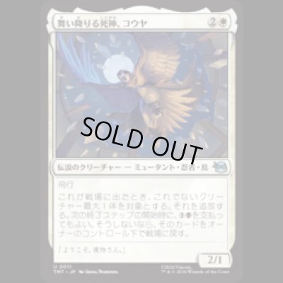 画像1: 舞い降りる死神、コウヤ/Koya, Death from Above [TMT]