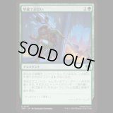 甲羅で命拾い/Saved by the Shell [TMT]