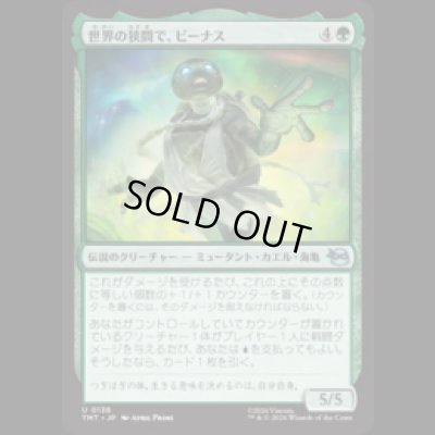 画像1: 世界の狭間で、ビーナス/Venus, Torn Between Worlds [TMT]